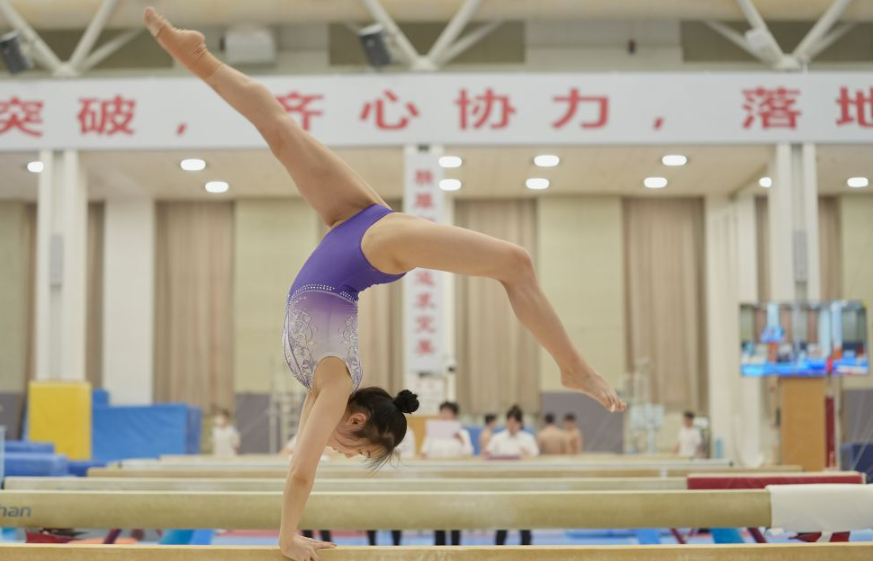 探秘b体育app官网的数据分析与预测功能